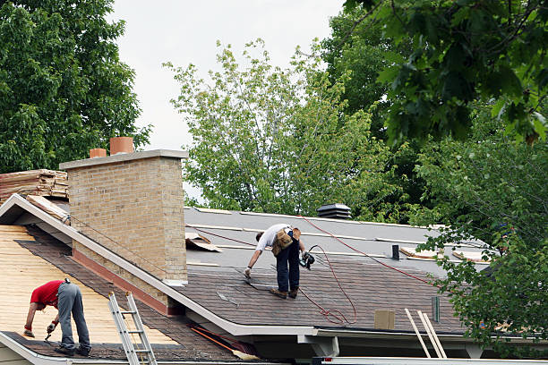 Best Roof Gutter Cleaning  in Rockmart, GA